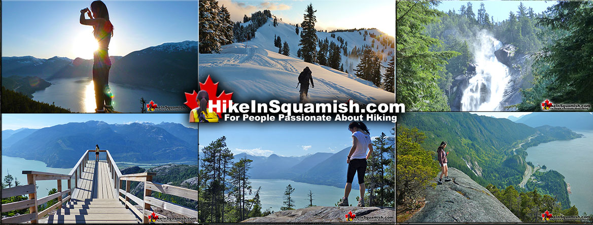 Best Squamish Hiking Trails Guides