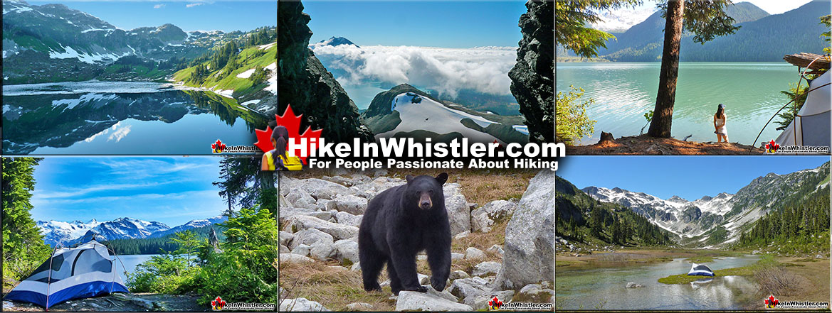 Hike in Whistler 2023 7