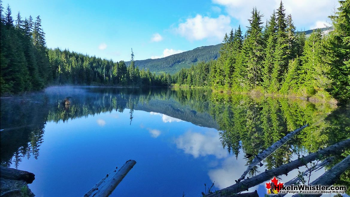 Serene Showh Lakes Near Ancient Cedars