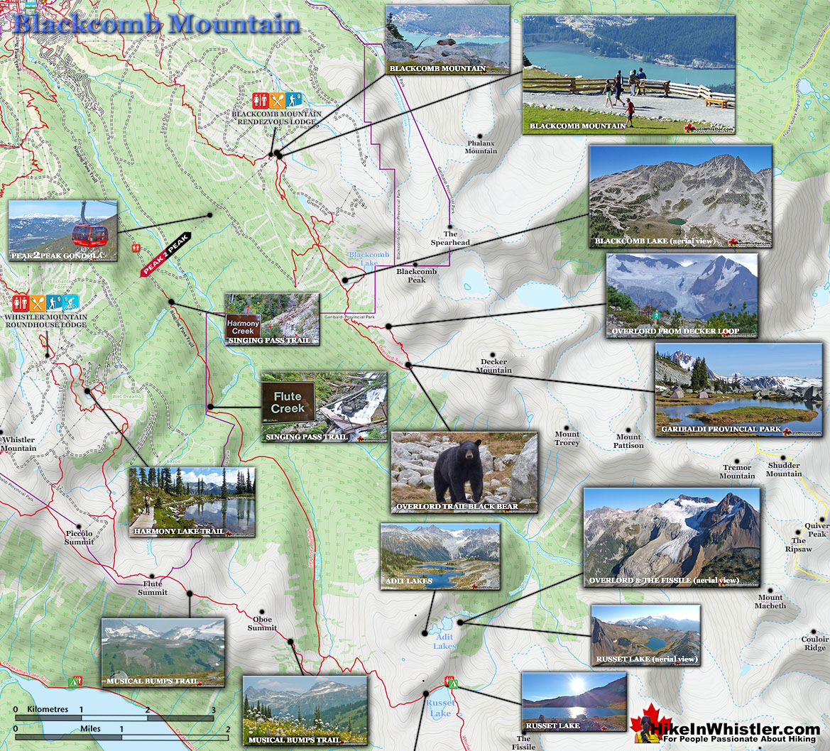 Blackcomb Mountain Hiking Map