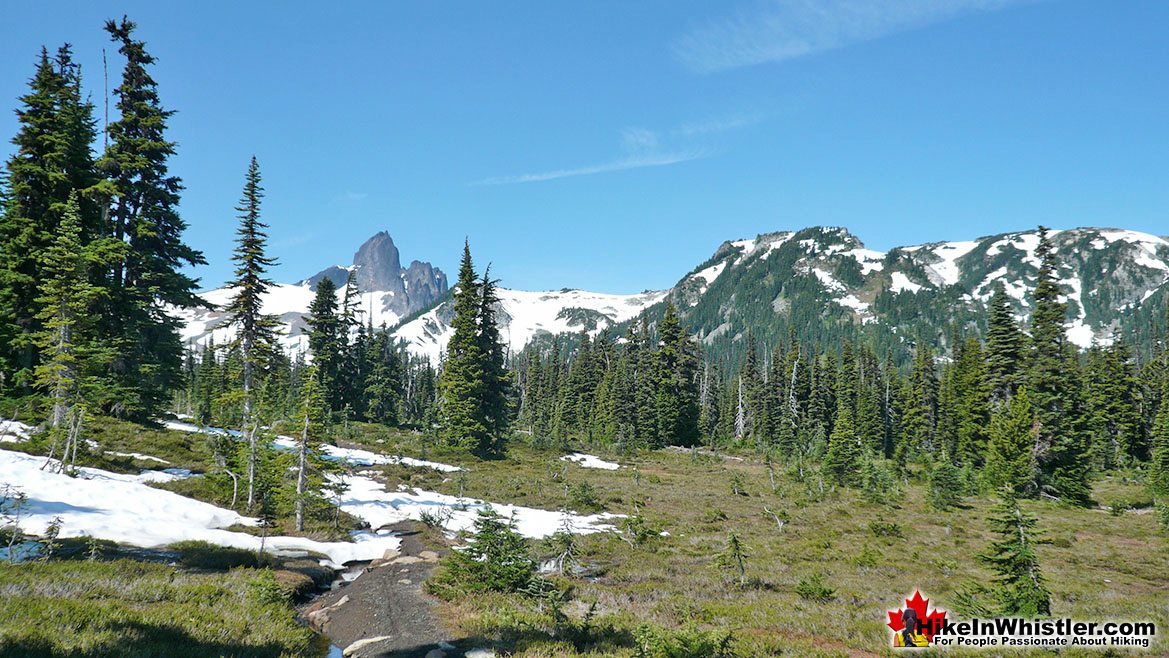 Black Tusk from Helm Creek