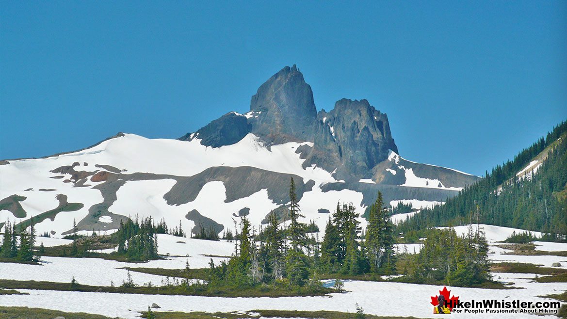 Black Tusk from the Helm Creek Trail