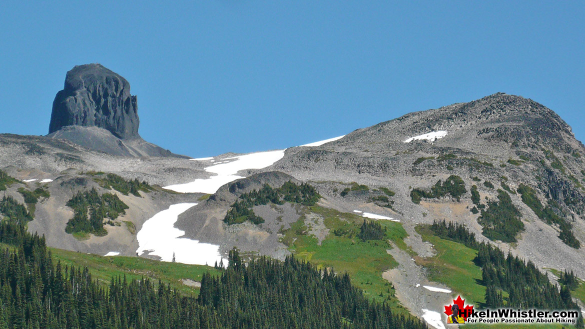 Taylor Meadows Black Tusk View